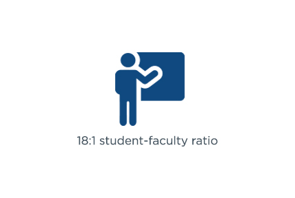 18:1 student-faculty ratio