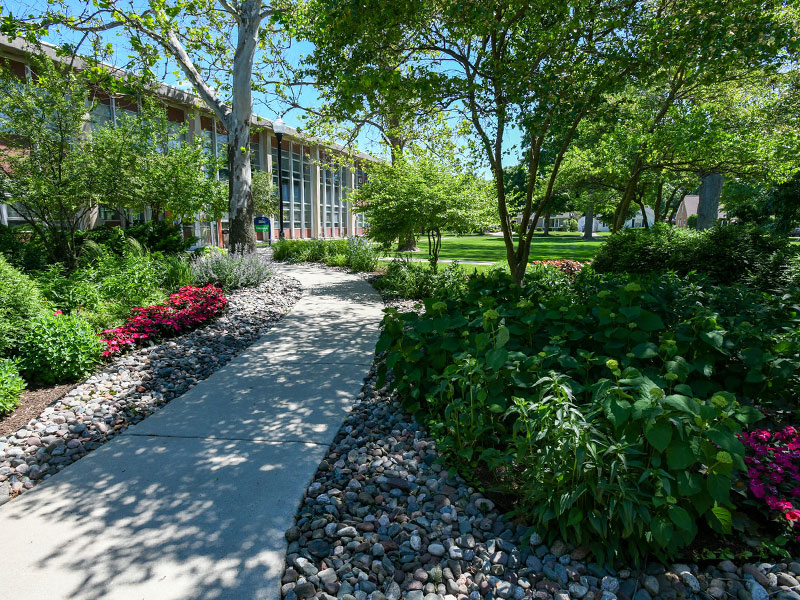 rain garden outside of eckhart hall