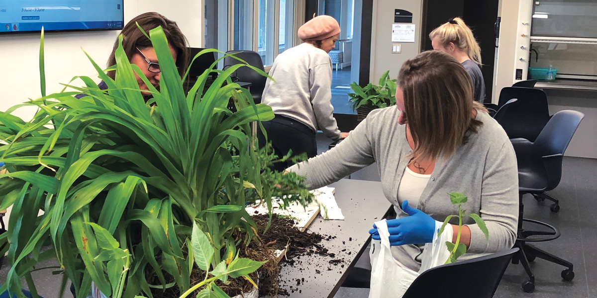 Students working with plants.